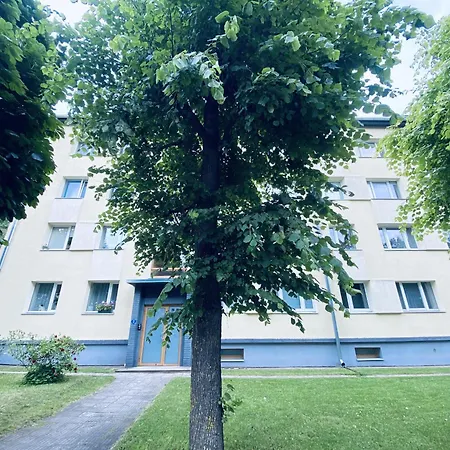 Апартаменты Cosy In Center *